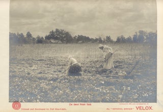 THE PHOTOGRAPHIC TIMES