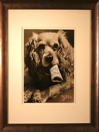 Item #50803 MERRY XMAS - DOG WITH BONE. Ylla, Kamilla Koffler