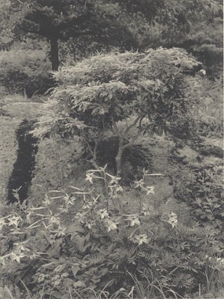 FLOWERS AND TREES.
