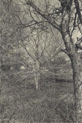 FLOWERS AND TREES.