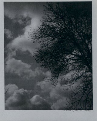 CIELS.