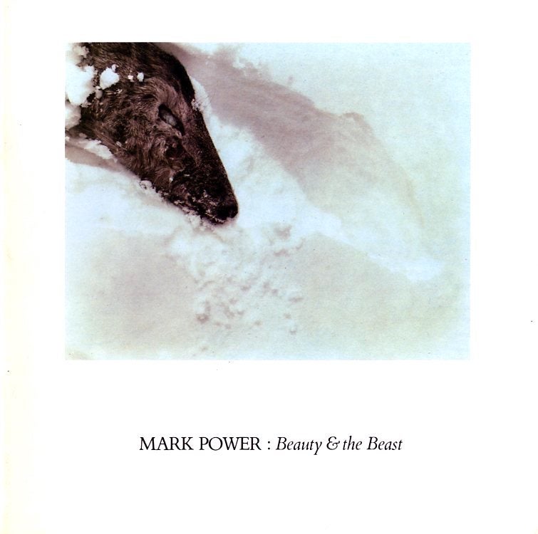 Item #53905 MARK POWER: BEAUTY & THE BEAST. Mark Power.
