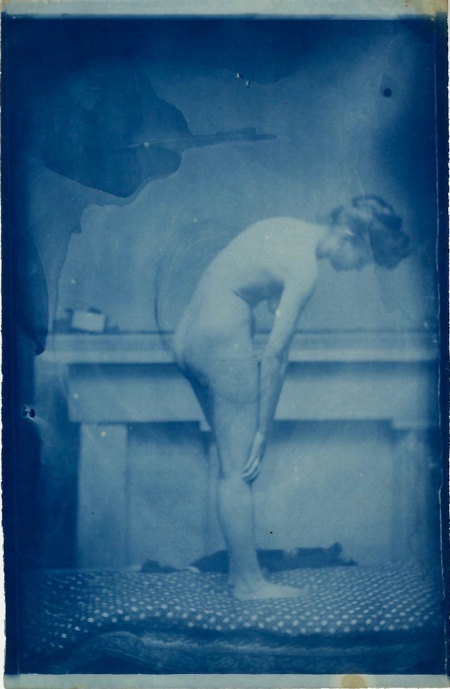 Item #54417 LOT OF CYANOTYPES ATTRIBUTED TO F. H. NOYES, INSTRUCTOR OF DRAWING, SHELBY COLLEGE, CORNELL UNIVERSITY. F. H. Noyes.