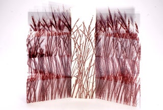 BLUESTEM